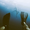 Coming Up For Air