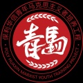 林子衿 - 少年应如风