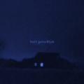 lost goodbye