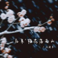 后来梅花落南山