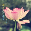 赖鸿根 - 南无文殊菩萨