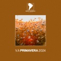 Mariano Malvica - Mistery