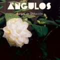 Ángulos - Juegos de Sedución