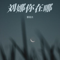 蔡雨杰 - 夜巴黎 (纯音乐)