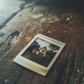 Where We Grew Up