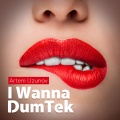 I Wanna DumTek (Explicit)