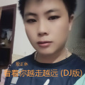 殷正林 - 越走越远