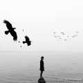 the messenger - Evident