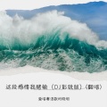 这段感情我赌输（ DJ彭锐版）(翻唱)