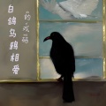 阿呆呆呆 - 白鸽乌鸦相爱的戏码