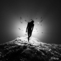 the messenger - Not The End