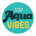 Aidan Scully、Accident OF Place、Aidan J Scully、The AquaVibes、Jonathan Meyer - The AquaVibes