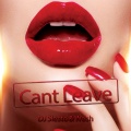 DJ Siesto、Wash - Can't Leave