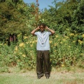 Sunlight/Yellow