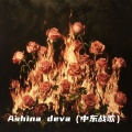 关键词 - Ashina deva