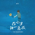 秦晨阳 - 在心里种一朵花