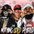 Nothing Gold Plated (feat. Sada Baby & P4k)(Explicit)