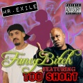 Fancy ***** (feat. Too $hort)(Explicit)