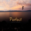 Perfect