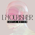 Subtle Motion