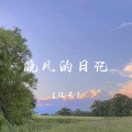 江云 - 晚风的日记