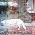 White Noise Babies - Rested Wonder