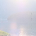 堀内 悠馬 - さえずり