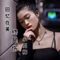 回忆在美终是伤