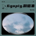 6gopig. - 于是