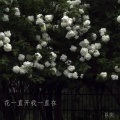 以安 - 花一直开我一直在