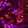 Halloween Is Here