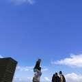 Fred again..、Joy Anonymous - peace u need