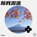 陈保才 - 陪我泪流