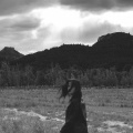 How to Disappear (Explicit)