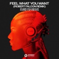 Feel What You Want (Robert Falcon Remix)