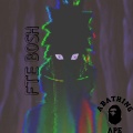 FTE Bosh - shay