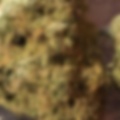 Joe Black - JAH KNOWS (Explicit)