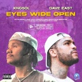 Eyes Wide Open (feat. Dave East)(Explicit)