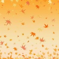 bing - 入秋