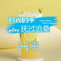 于全莉、韩晓辉 - 时光的手抚过沧桑