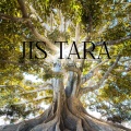 Hindustan - jis tara