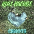 Real Bacabs - Groundwater