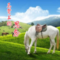 蒙吉 - 马背上的思念