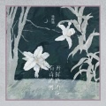 有毒的树开鲜艳的花 (1.111×倍速版)