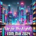 Malibu Chill Out Zone - Euphoric Night Beats