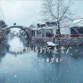 冰雪彗星 - 张妙格-我期待的不是雪 (横州DJ98 VinaHouse Mix国语女)