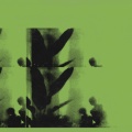 downey's perfect life、Wowflower、The Field Tapes - i'm in my nest, in my past