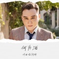 郑琦 - 何为酒