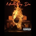 MuddyBoy_Dos - Website