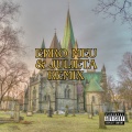Erro meu & Julieta Piseiro Remix (Explicit)